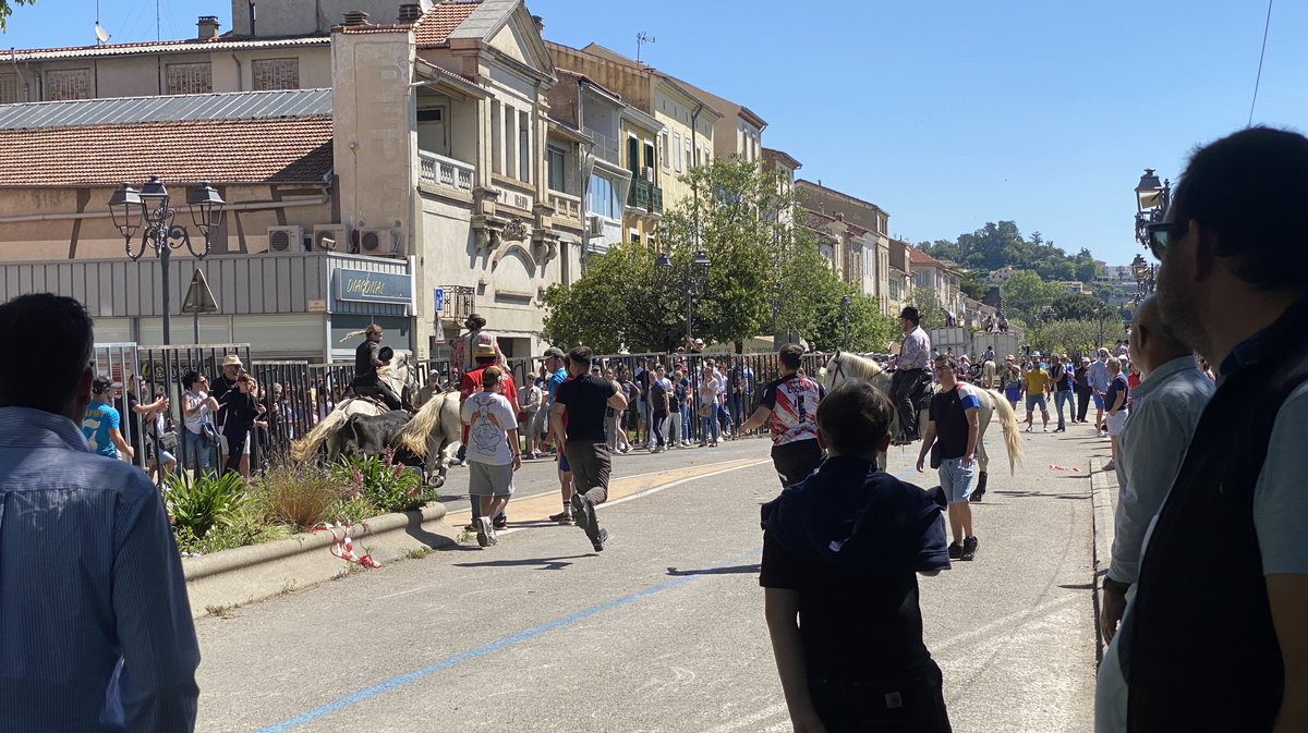 Abrivado Feria Alès 2024