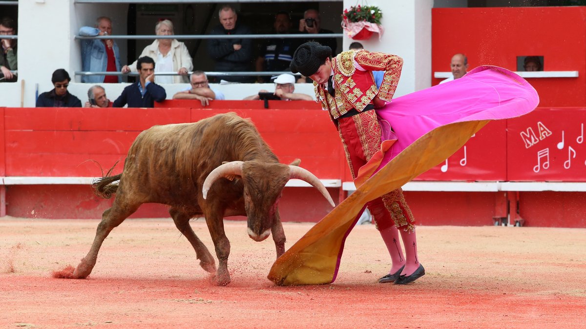 Novillada sans picadors de San Sebastian,  Barcelo et Roland Durand,  La Suerte et François André pour Santiago López Ortega, Bruno Gimeno Fernandez, Valentin, Baptiste Hangosto et Matías (Photo Anthony Maurin)