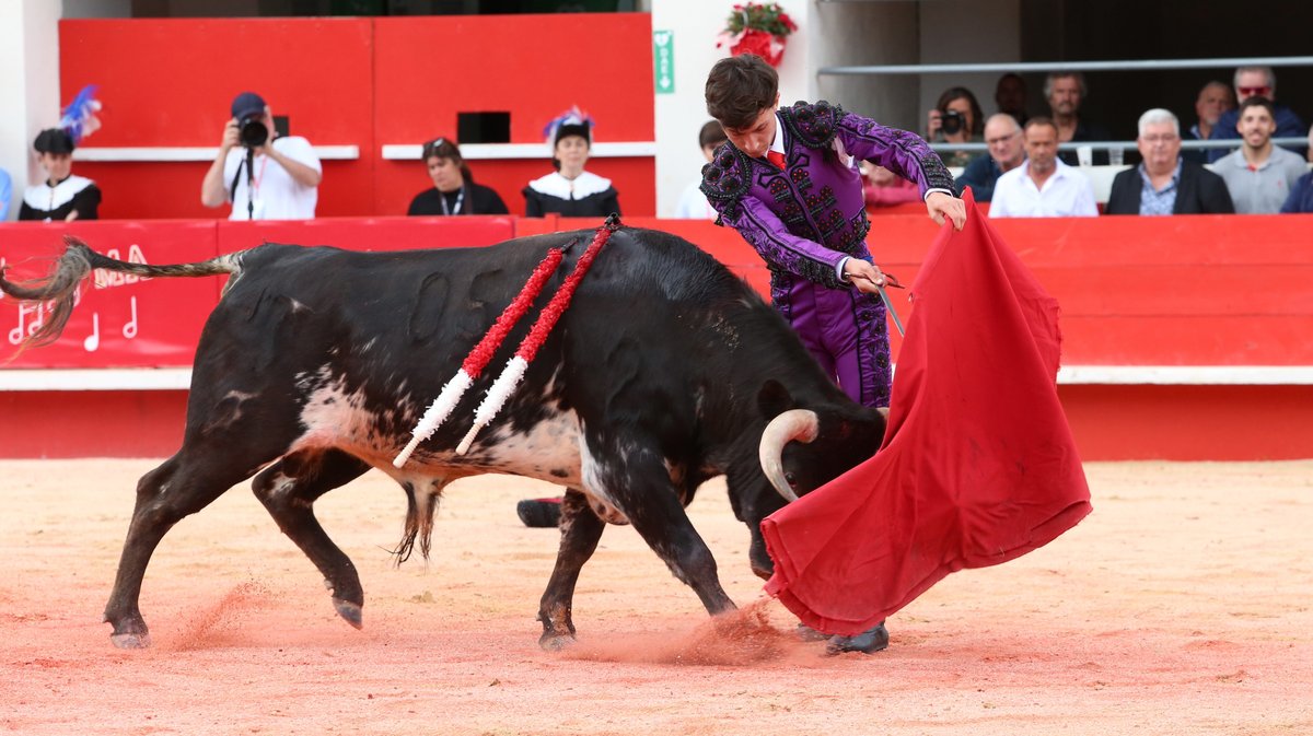 Novillada sans picadors de San Sebastian,  Barcelo et Roland Durand,  La Suerte et François André pour Santiago López Ortega, Bruno Gimeno Fernandez, Valentin, Baptiste Hangosto et Matías (Photo Anthony Maurin)