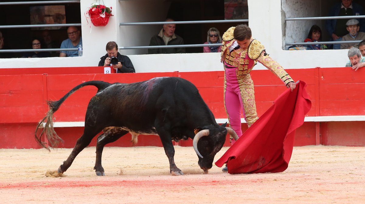 Novillada sans picadors de San Sebastian,  Barcelo et Roland Durand,  La Suerte et François André pour Santiago López Ortega, Bruno Gimeno Fernandez, Valentin, Baptiste Hangosto et Matías (Photo Anthony Maurin)