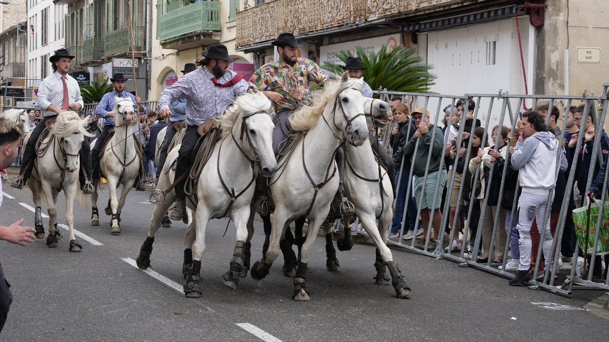 L'abrivado Rue de la République a attiré la foule feria nimes 2024