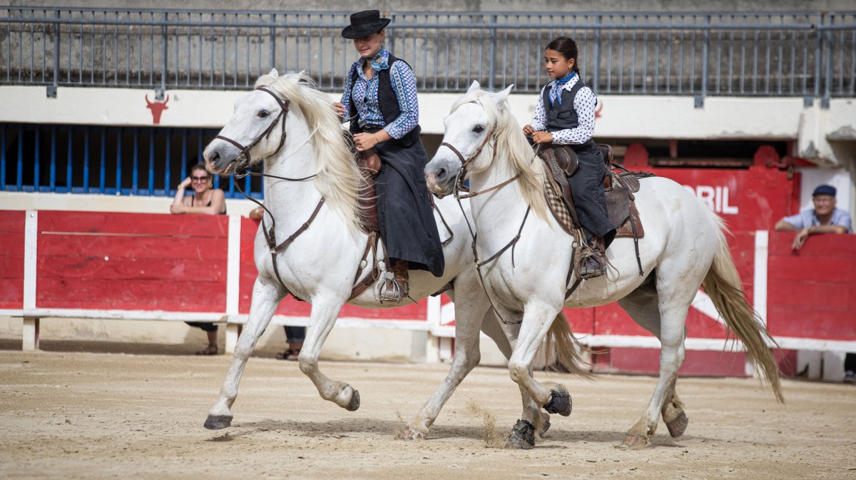 rodeo camarguais grau du roi (yp)