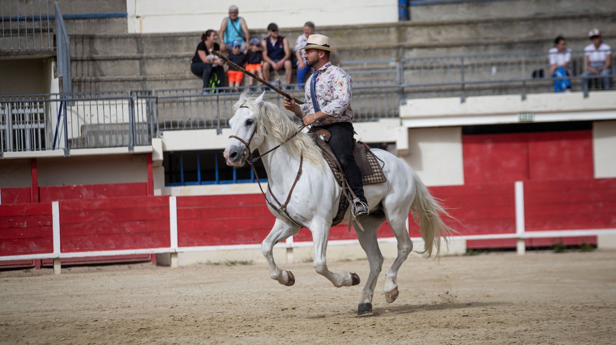 rodeo camarguais grau du roi (yp)