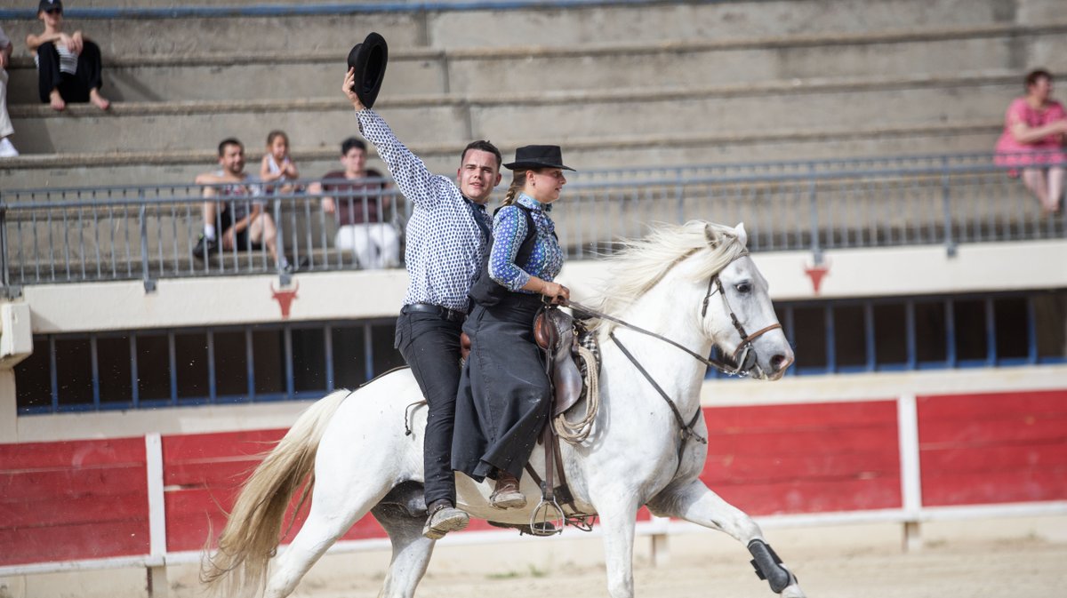 rodeo camarguais grau du roi (yp)