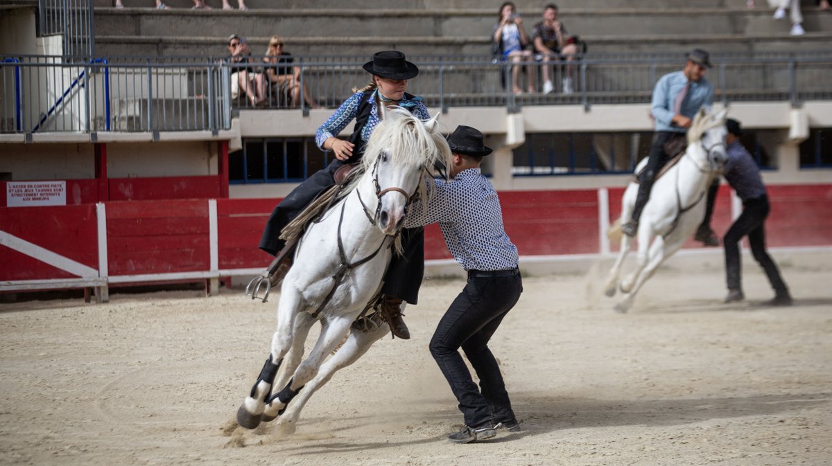 rodeo camarguais grau du roi (yp)