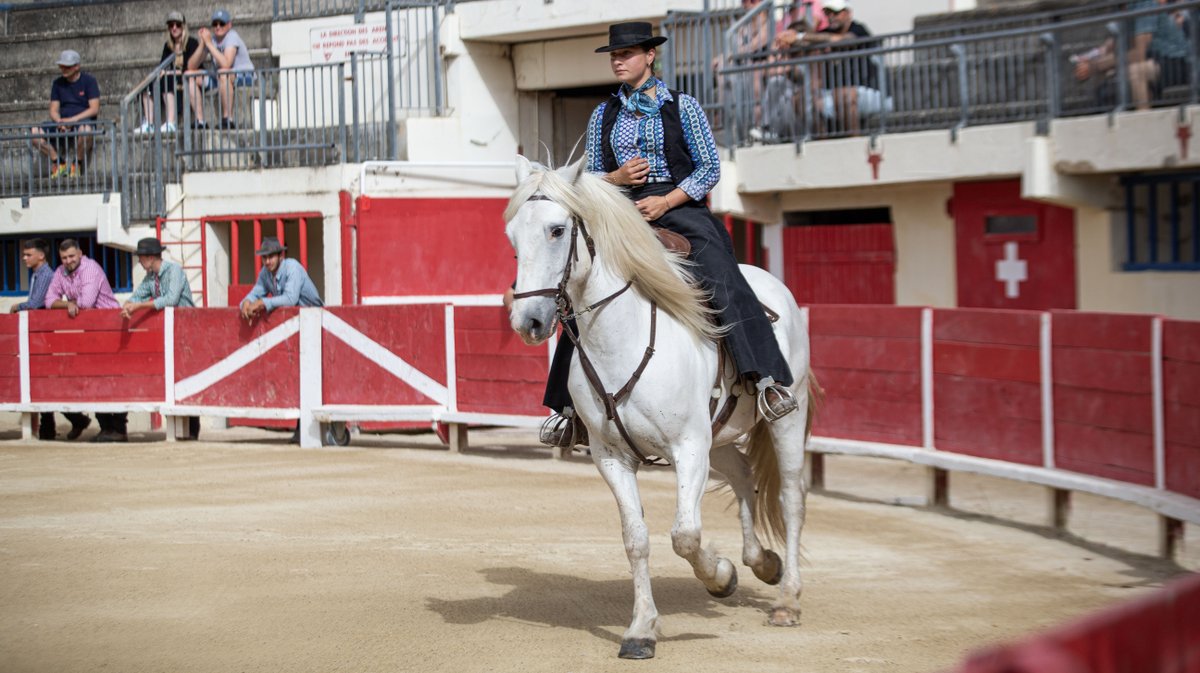 rodeo camarguais grau du roi (yp)