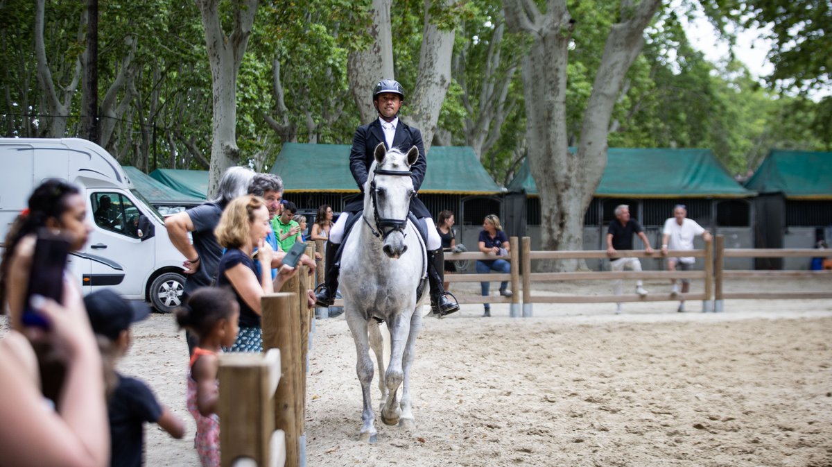 rencontres equestres beaucaire (yp)