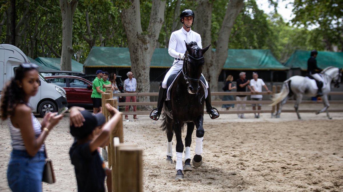 rencontres equestres beaucaire (yp)