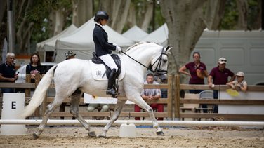 rencontres equestres beaucaire (yp)