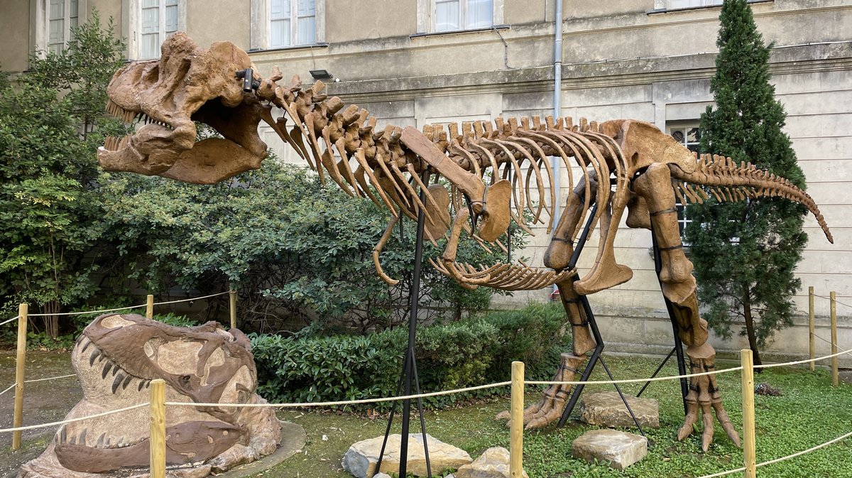 Sur la piste des dinosaures du Gard aux Amériques 2024 (Photo Anthony Maurin)