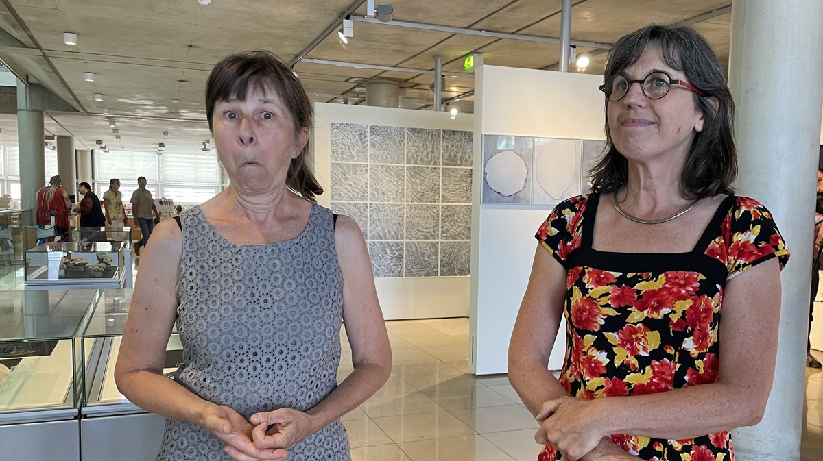 « Méandres, entre roche et eau » de Florence Barbéris et Sylvie Deparis à Carré d'Art (Photo Anthony Maurin)