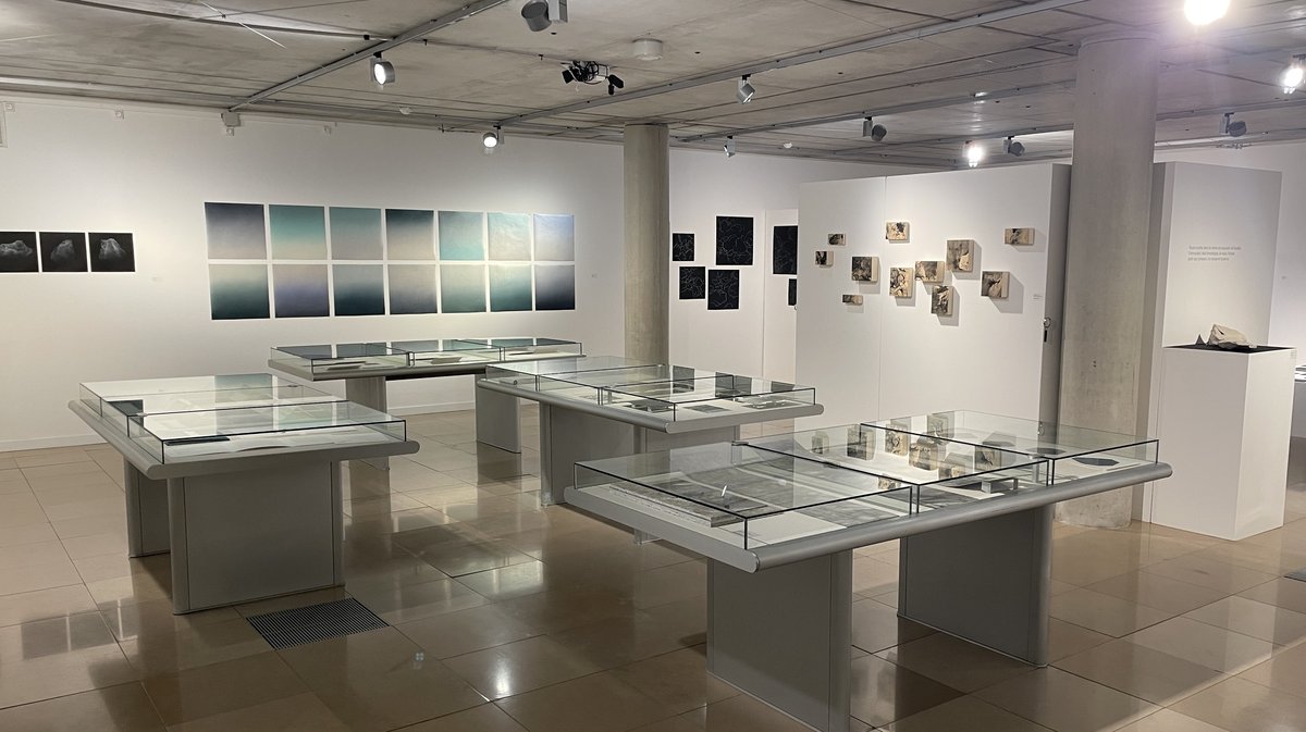 « Méandres, entre roche et eau » de Florence Barbéris et Sylvie Deparis à Carré d'Art (Photo Anthony Maurin)