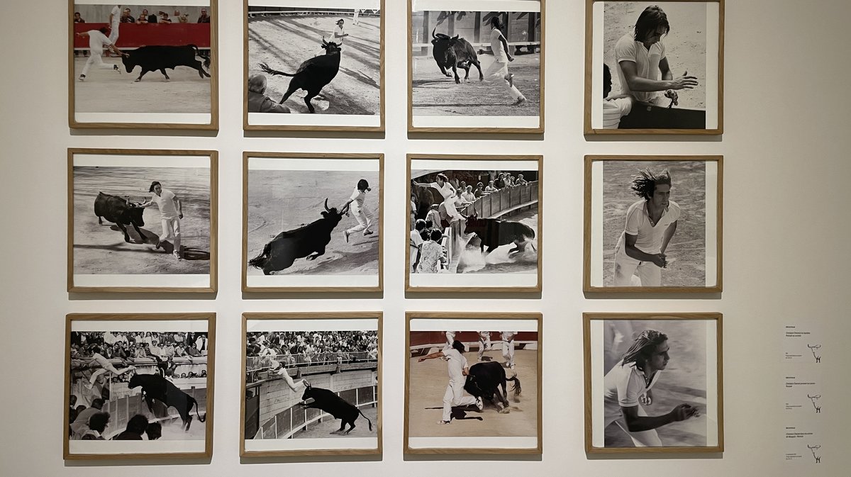 De l'aficion à la collection au Musée des cultures taurines de Nîmes (Photo Anthony Maurin)