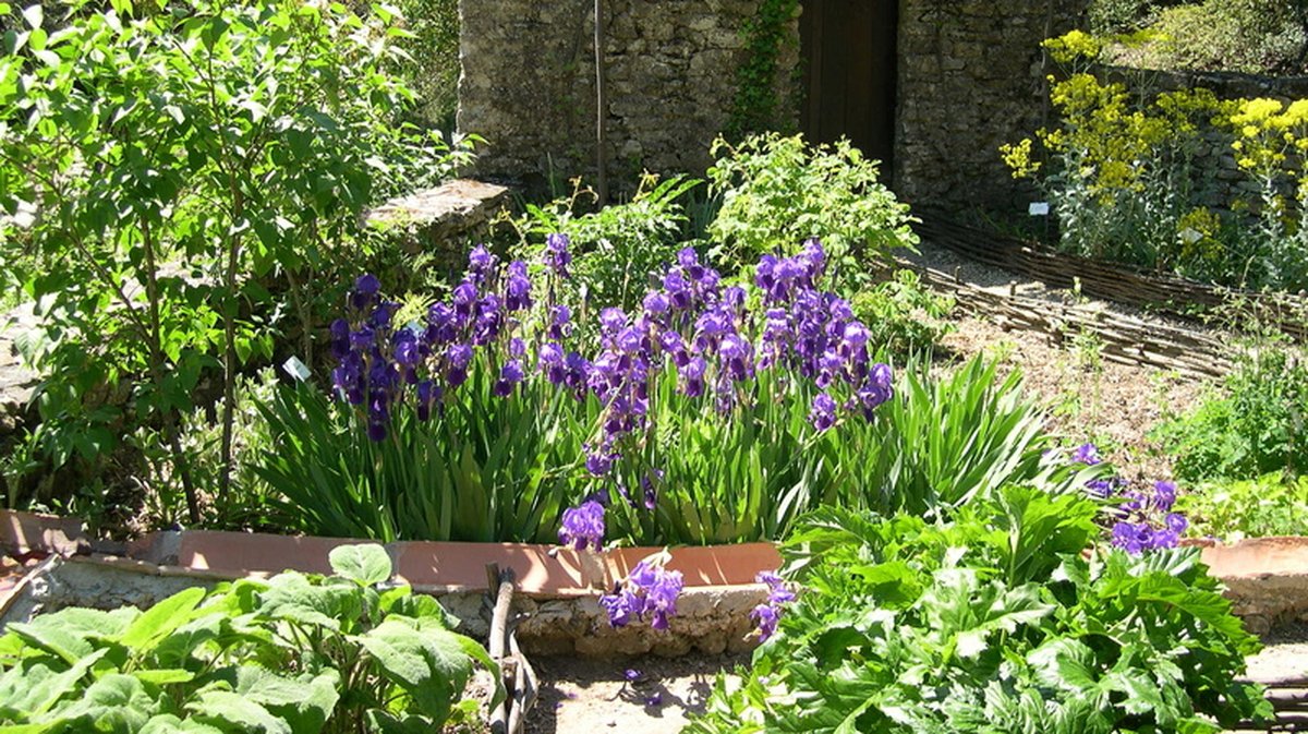 Les Jardins Ethnobotaniques de la Gardie (Photo Parcs et Jardins)