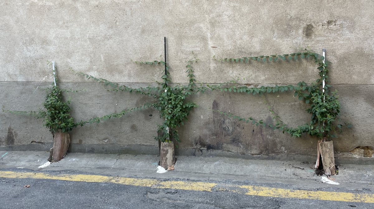 "Coulée verte" Saint-Gilles