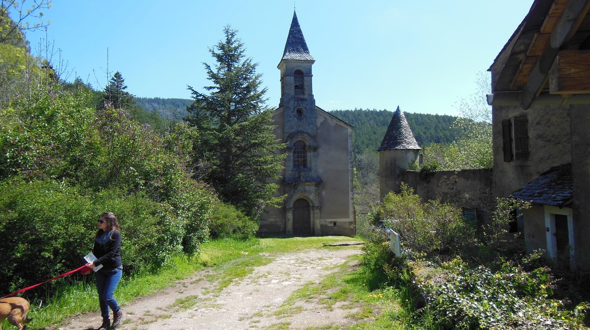 L'arborétum de Saint-Sauveur-des-Pourcils (Photo Tourisme Gard)