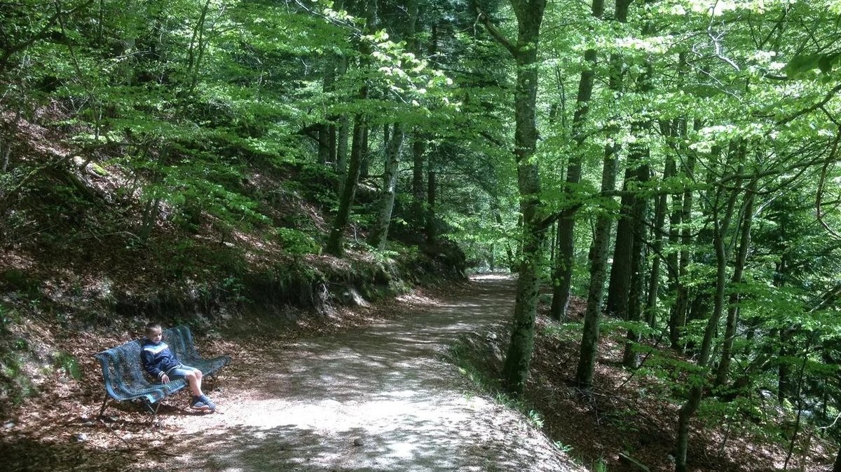 Le sentier des morts pour aller vers l'arboretum de Saint-Sauveur-des-pourcils (Photo Sportihome)