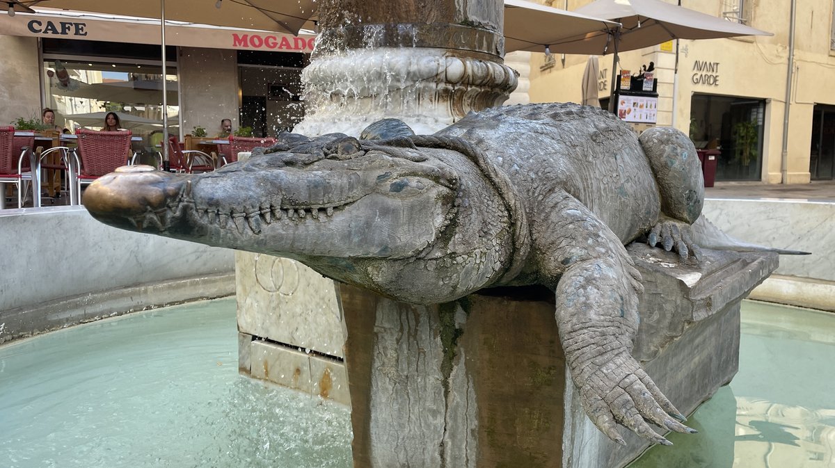 Le crocodile de la Place du Marché  (Photo Archives Anthony Maurin)