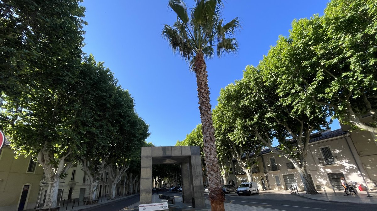 L'Avenue Carnot avec le monument signé Philippe Starck (Photo Archives Anthony Maurin)