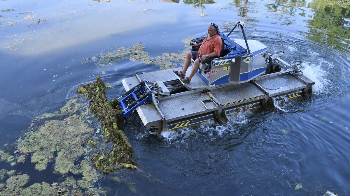 Bateau faucardeur