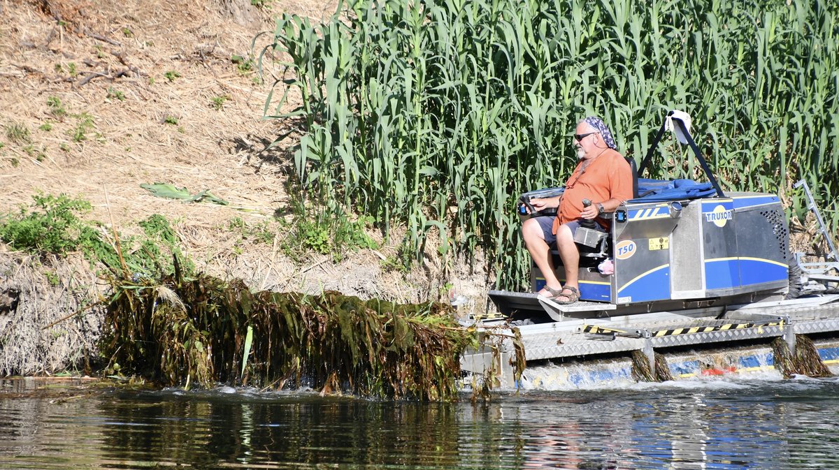 Bateau faucardeur