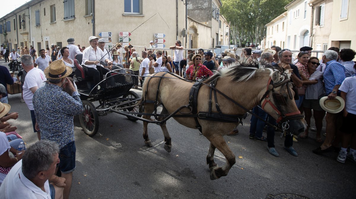 le cailar fete votive ancienne (yp)