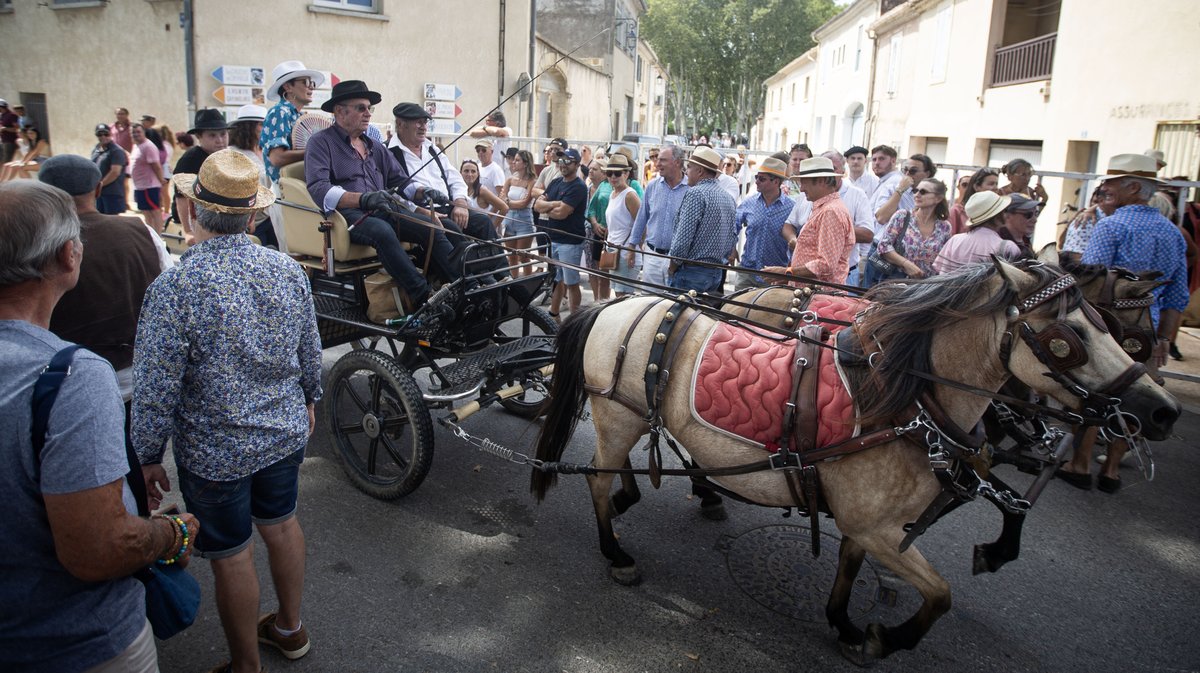 le cailar fete votive ancienne (yp)