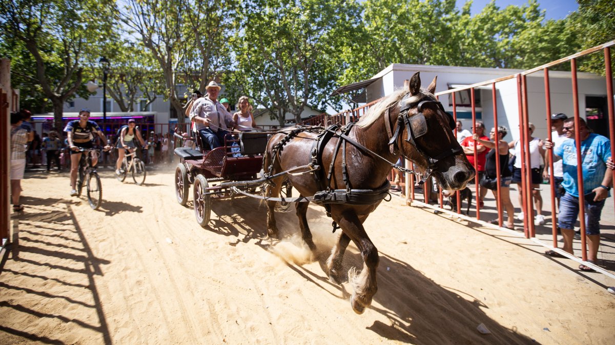 fete votive vauvert 2024 (yp)