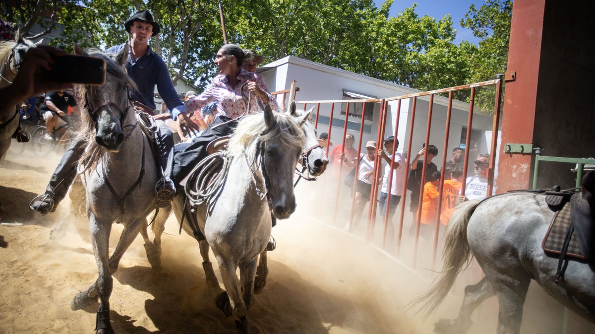 fete votive vauvert 2024 (yp)