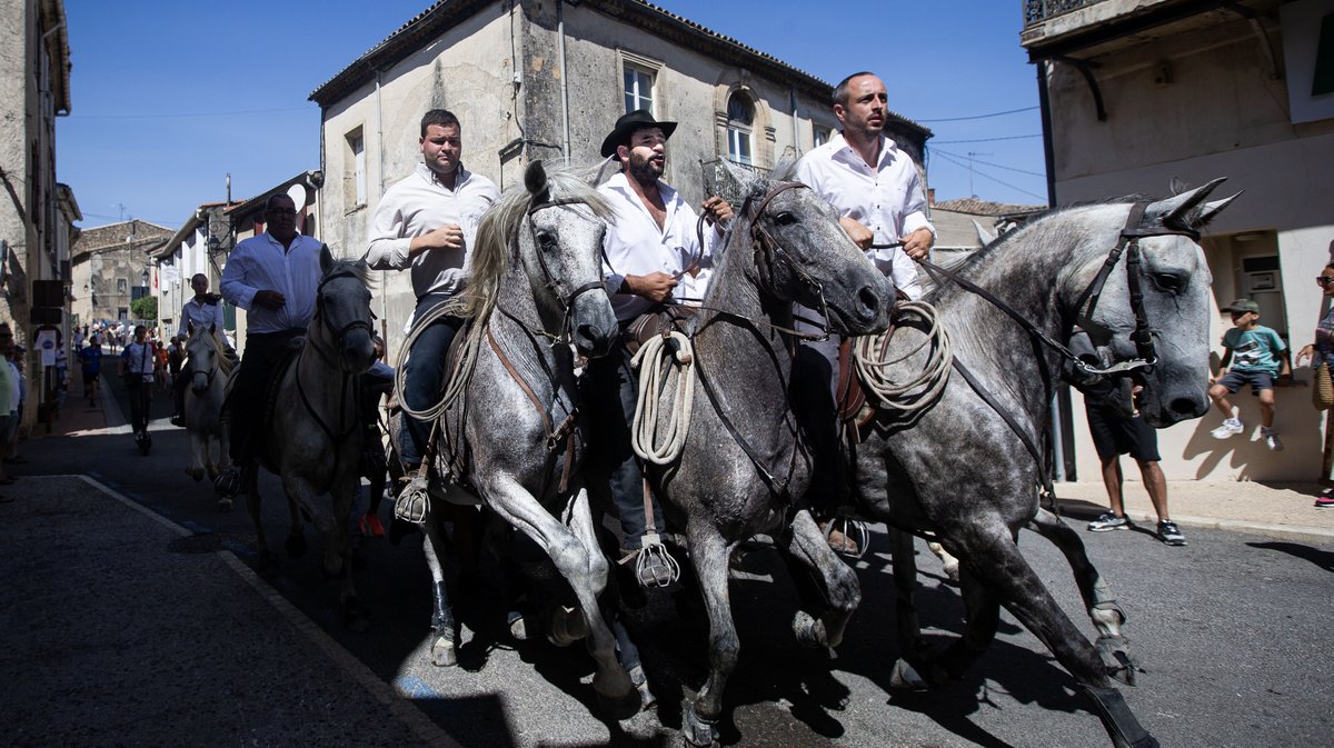 beauvoisin fetes abrivado journee ancienne (yp)