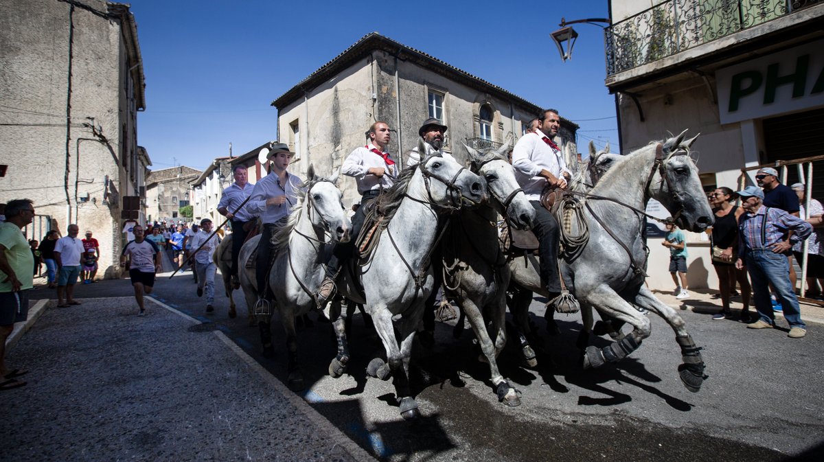 beauvoisin fetes abrivado journee ancienne (yp)