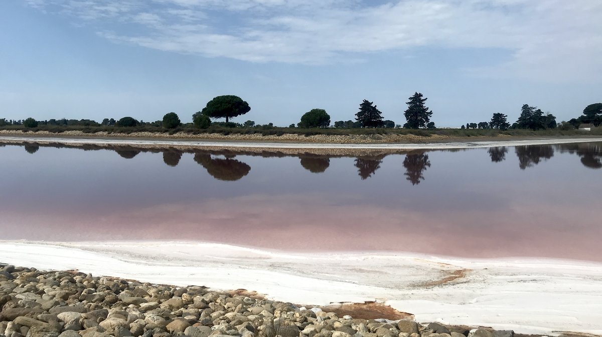 Salins d'Aigues-Mortes (Photo Archives Anthony Maurin)