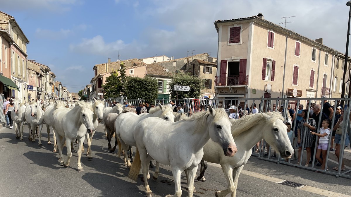 Féria Saint-Gilles Roussataïo et Romeria