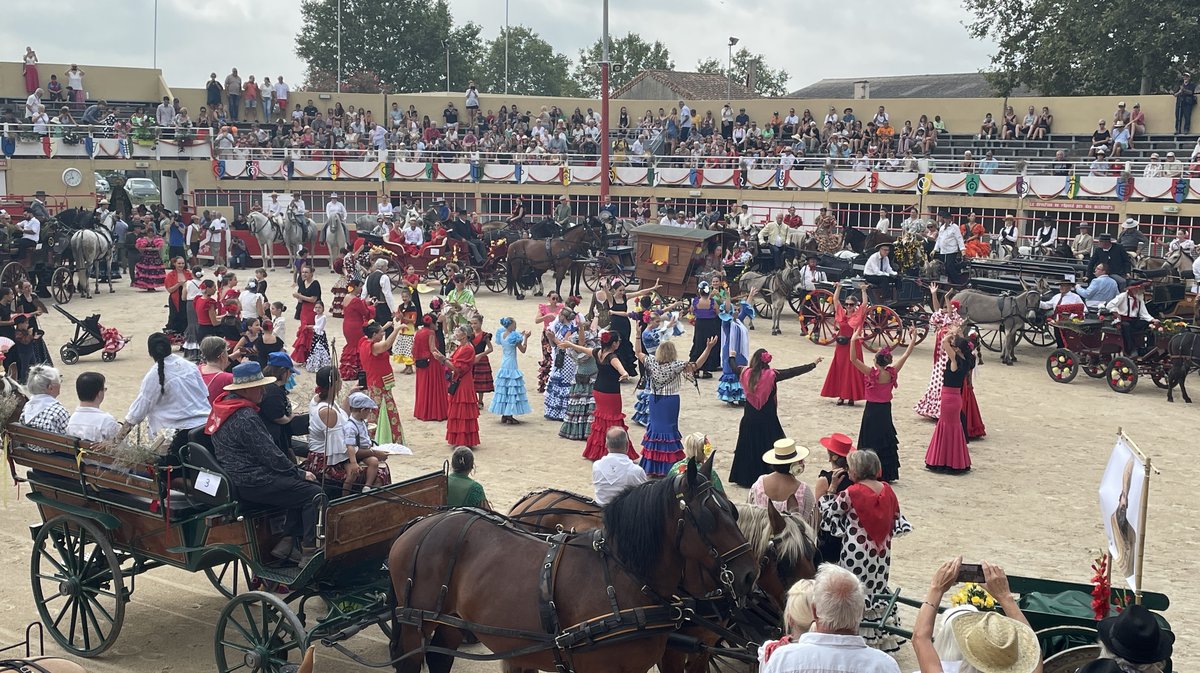 Journée de la Romería féria de Saint-Gilles