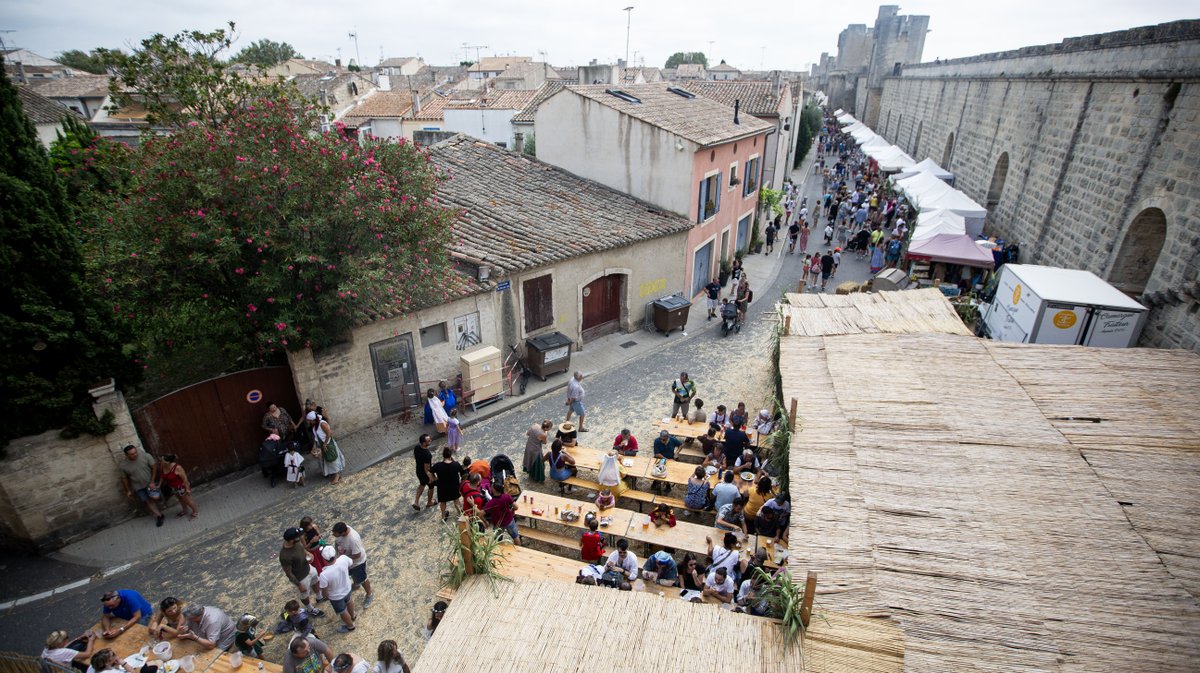 aigues mortes saint louis (yp)