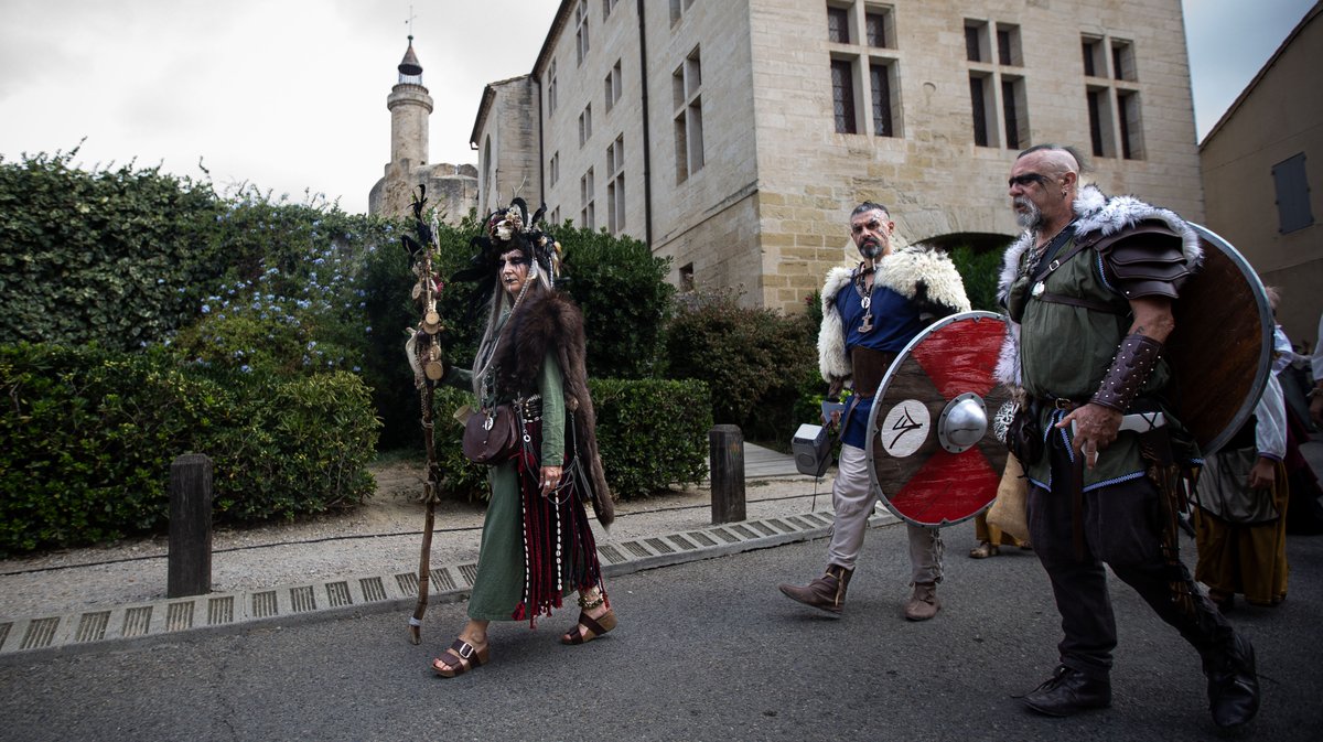 aigues mortes saint louis (yp)