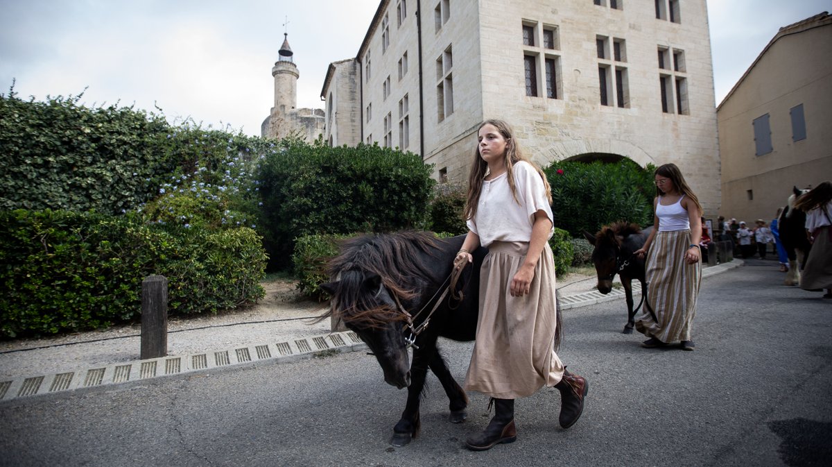 aigues mortes saint louis (yp)