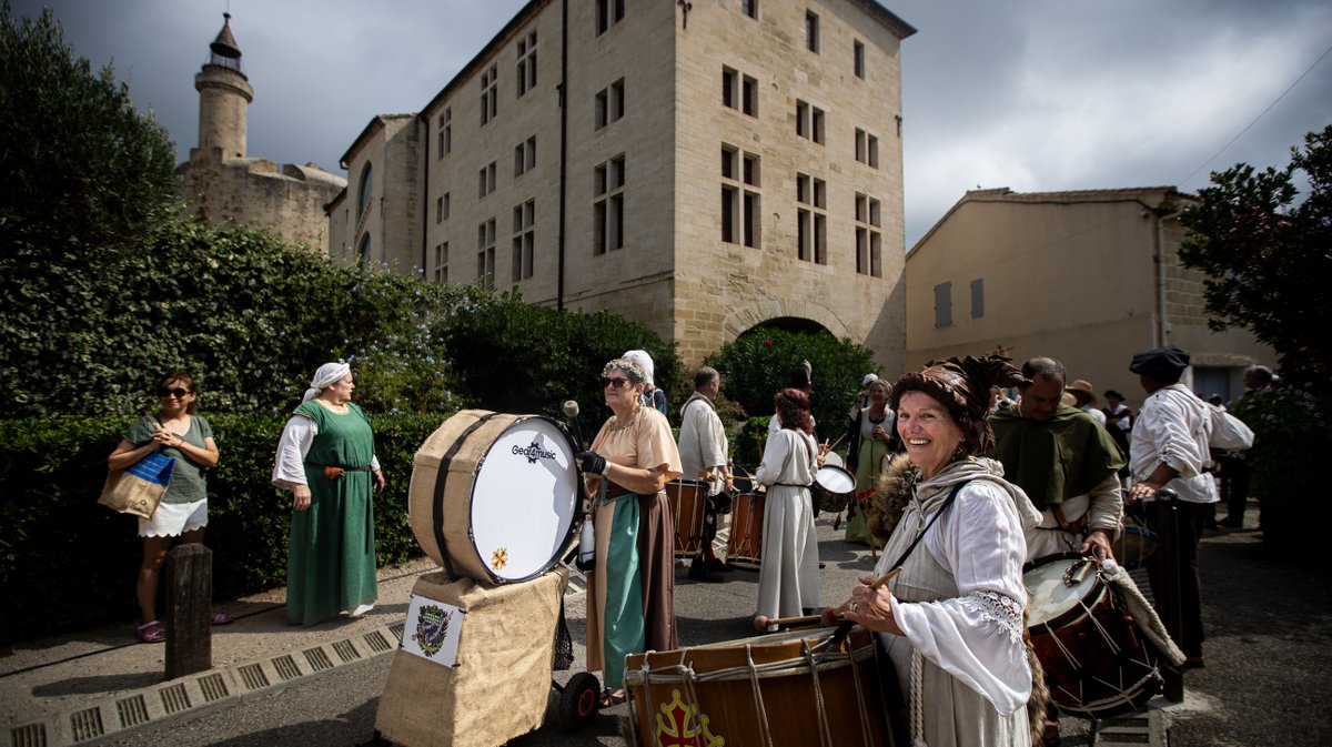 aigues mortes saint louis (yp)