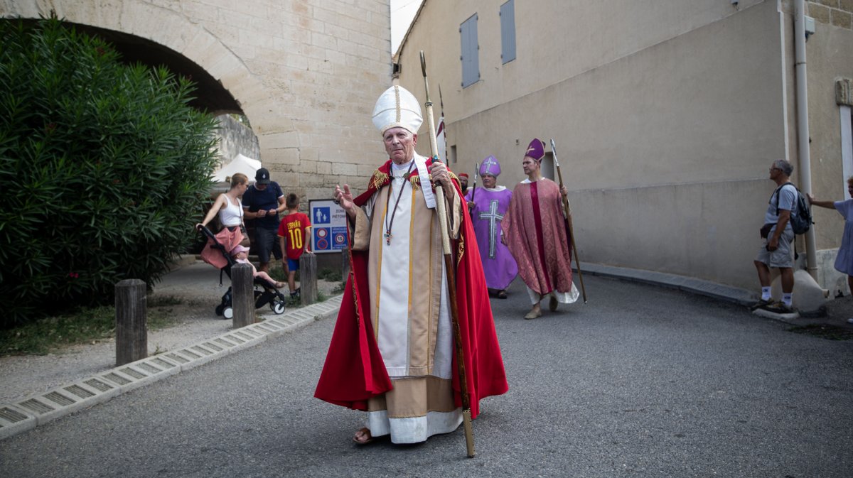 aigues mortes saint louis (yp)