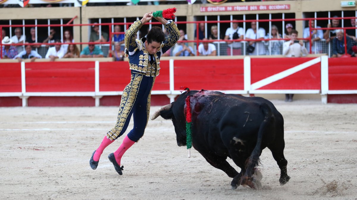 Corrida de Blohorn pour El Rafi, Christian Parejo et Solal (Photo Anthony Maurin)