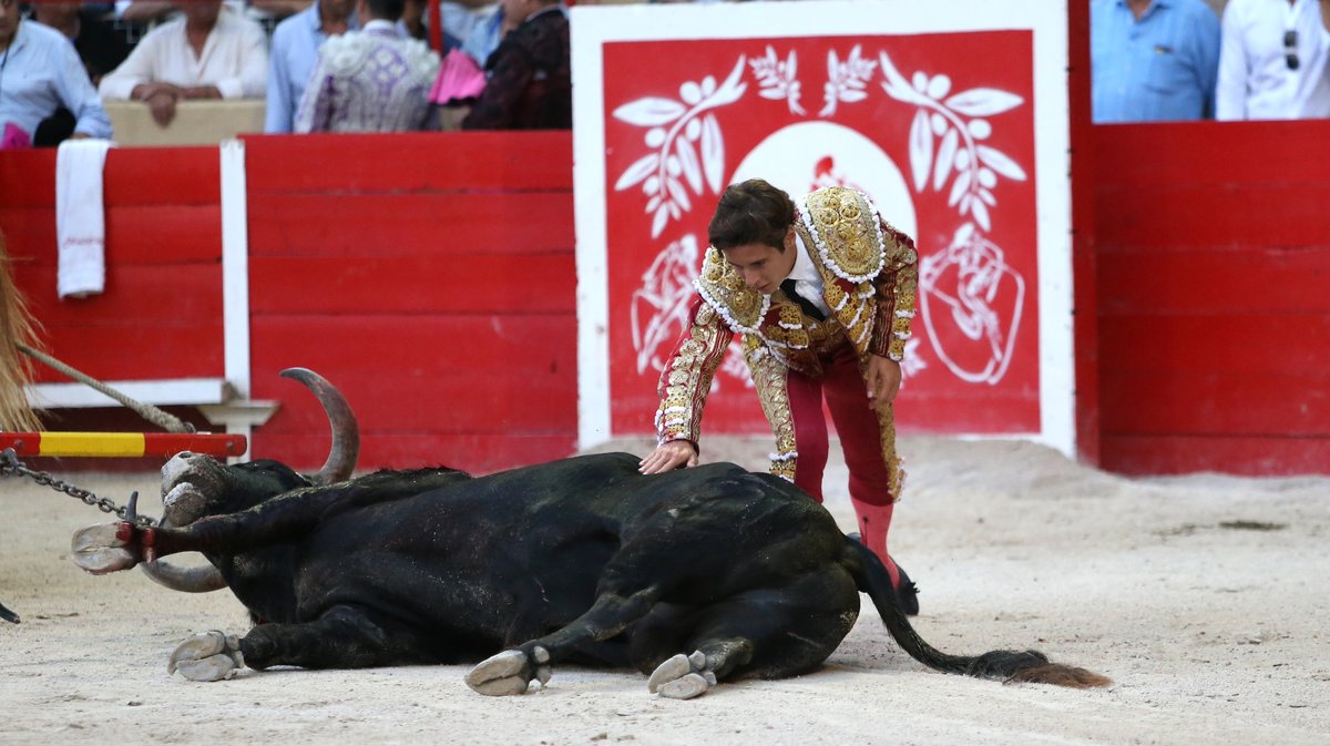 Corrida de Blohorn pour El Rafi, Christian Parejo et Solal (Photo Anthony Maurin)