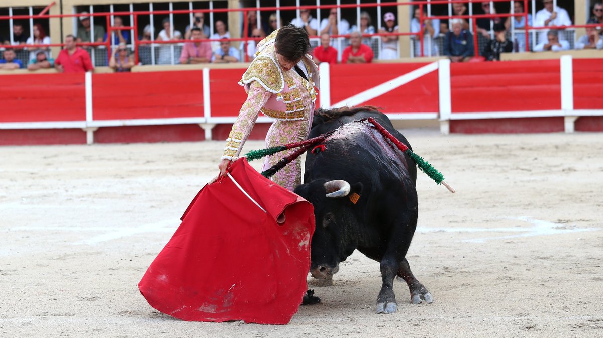 Corrida de Blohorn pour El Rafi, Christian Parejo et Solal (Photo Anthony Maurin)