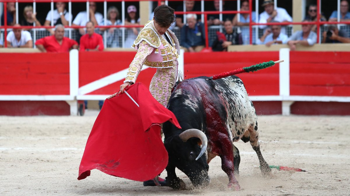 Corrida de Blohorn pour El Rafi, Christian Parejo et Solal (Photo Anthony Maurin)