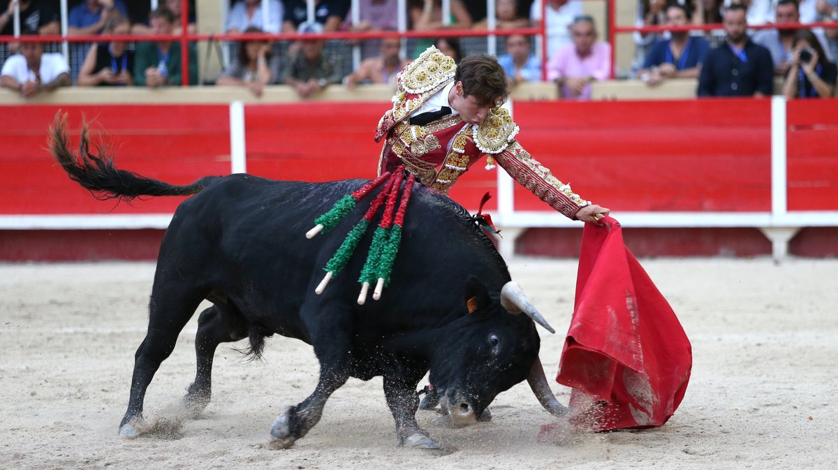 Corrida de Blohorn pour El Rafi, Christian Parejo et Solal (Photo Anthony Maurin)