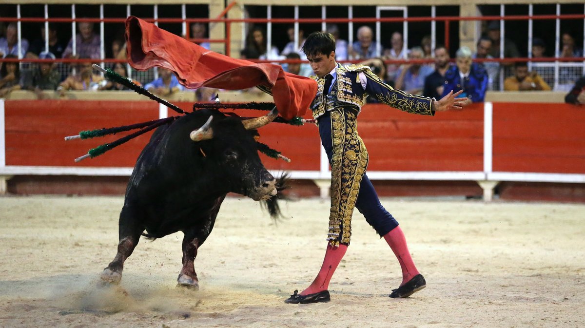 Corrida de Blohorn pour El Rafi, Christian Parejo et Solal (Photo Anthony Maurin)