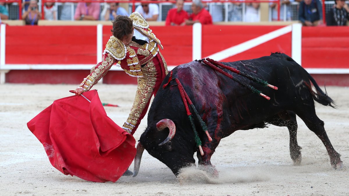 Corrida de Blohorn pour El Rafi, Christian Parejo et Solal (Photo Anthony Maurin)