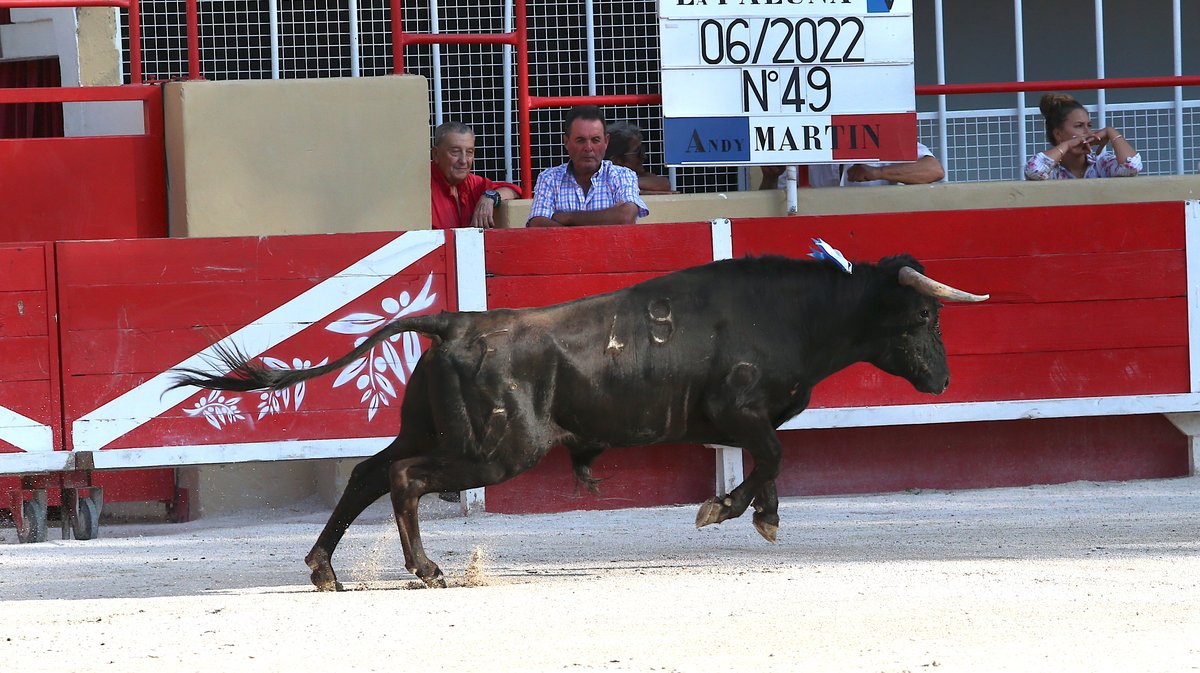 Finale Bolsin Nîmes métropole 2024 Valentin, Andy Martin et Léo Pallatier (Photo Anthony Maurin)