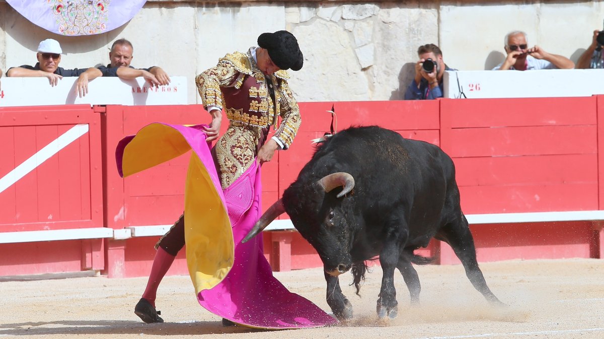 Lalo de Maria Novillada de Fernay pour Lalo de Maria, Diego Bastos et Nino Julian (Photo Anthony Maurin)