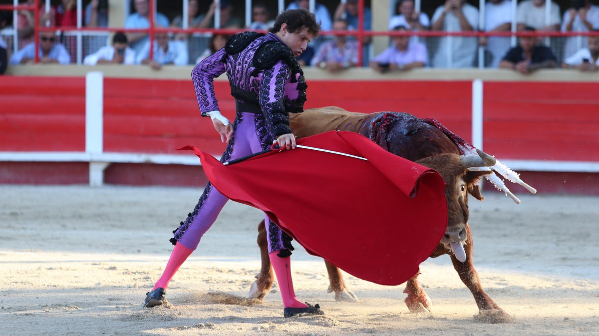 Corrida de Rocio de la Camara pour la despedida de Thomas Joubert, Andrés Roca Rey et Adriano (Photo Anthony Maurin)