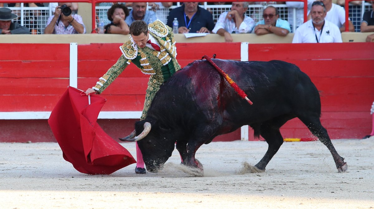 Corrida de Rocio de la Camara pour la despedida de Thomas Joubert, Andrés Roca Rey et Adriano (Photo Anthony Maurin)